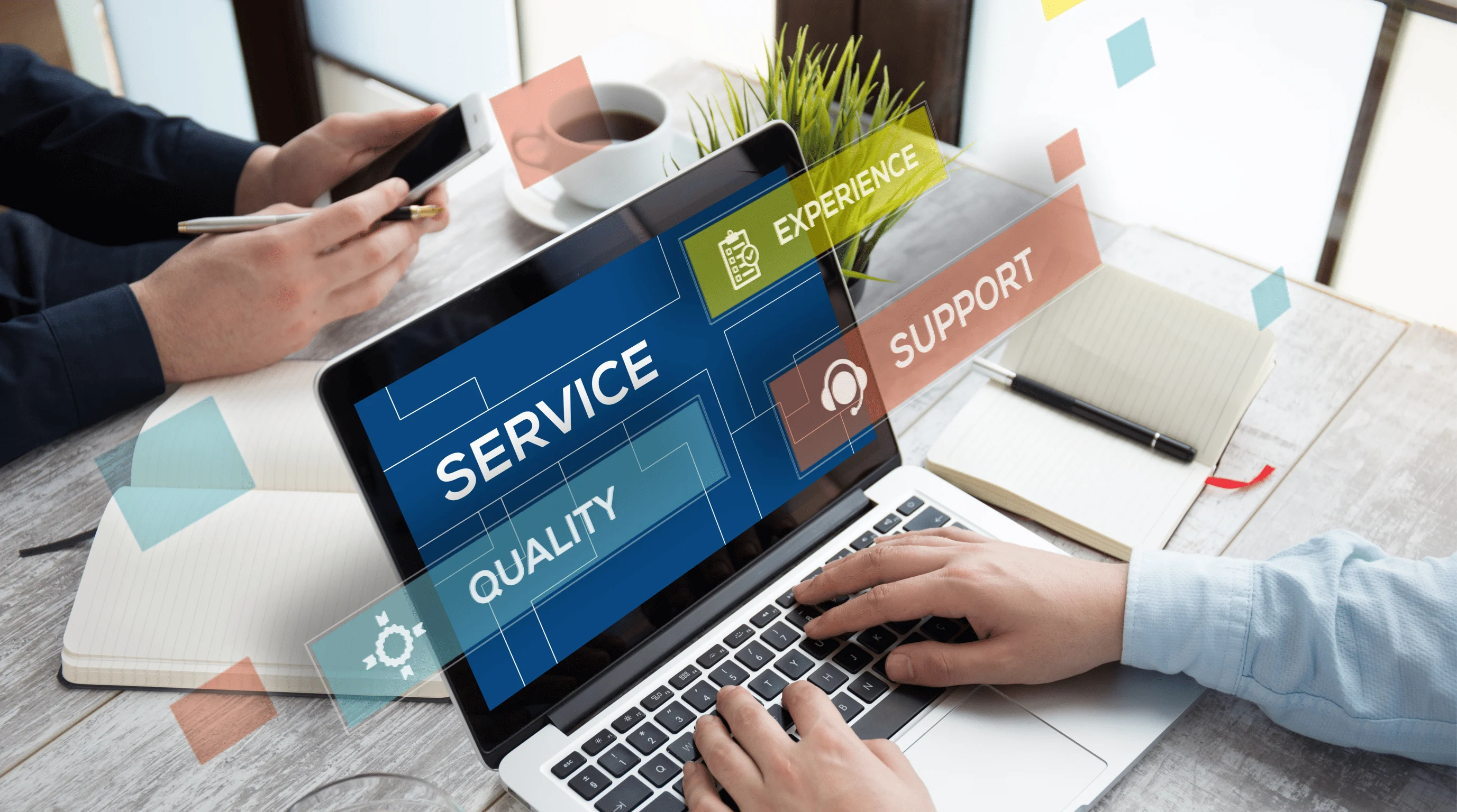 pro services in UAE